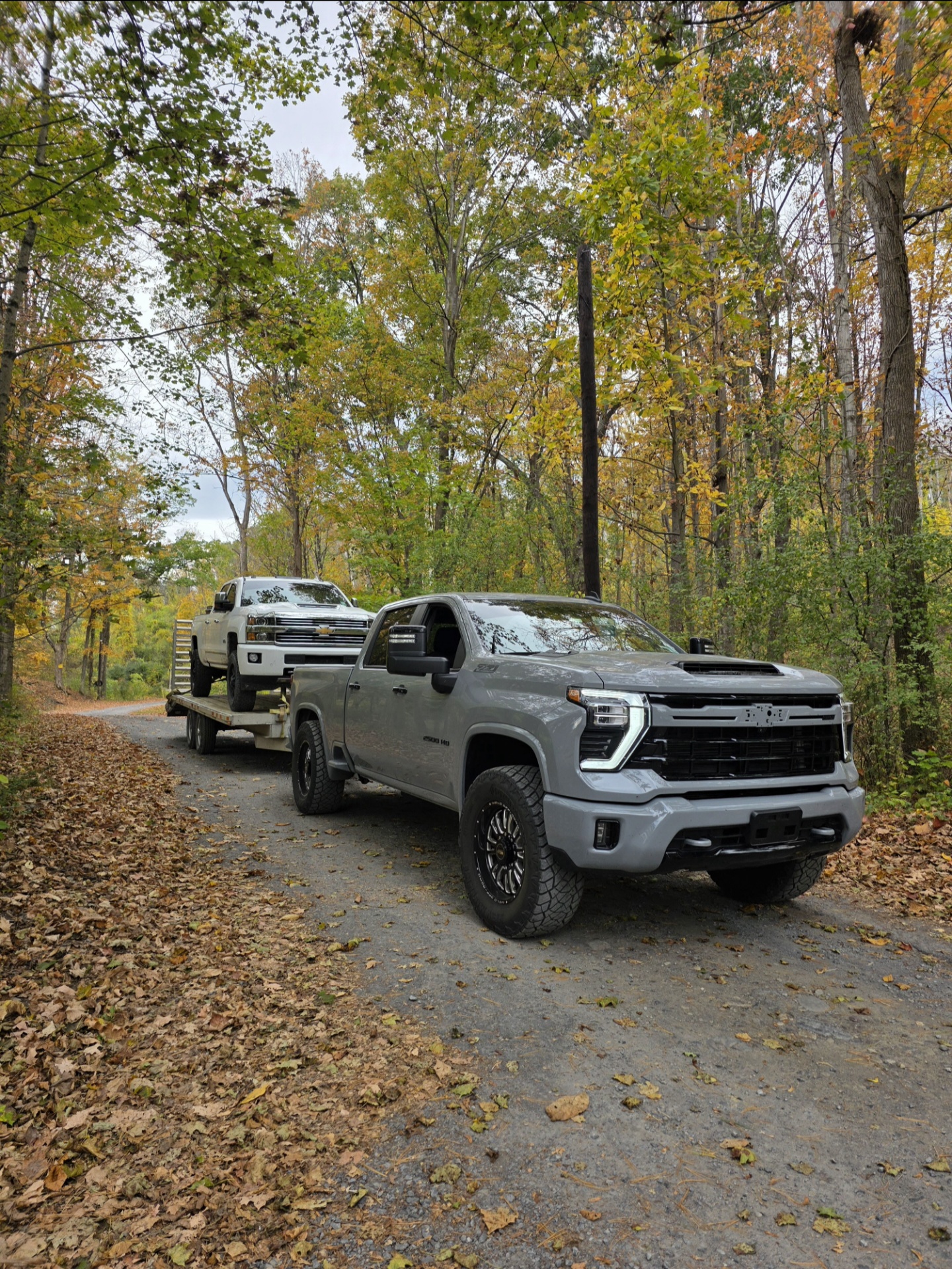 Screenshot_20251007_222859_Gallery